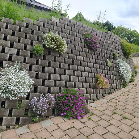 Villa Fiorita 阿维里亚那 外观 照片