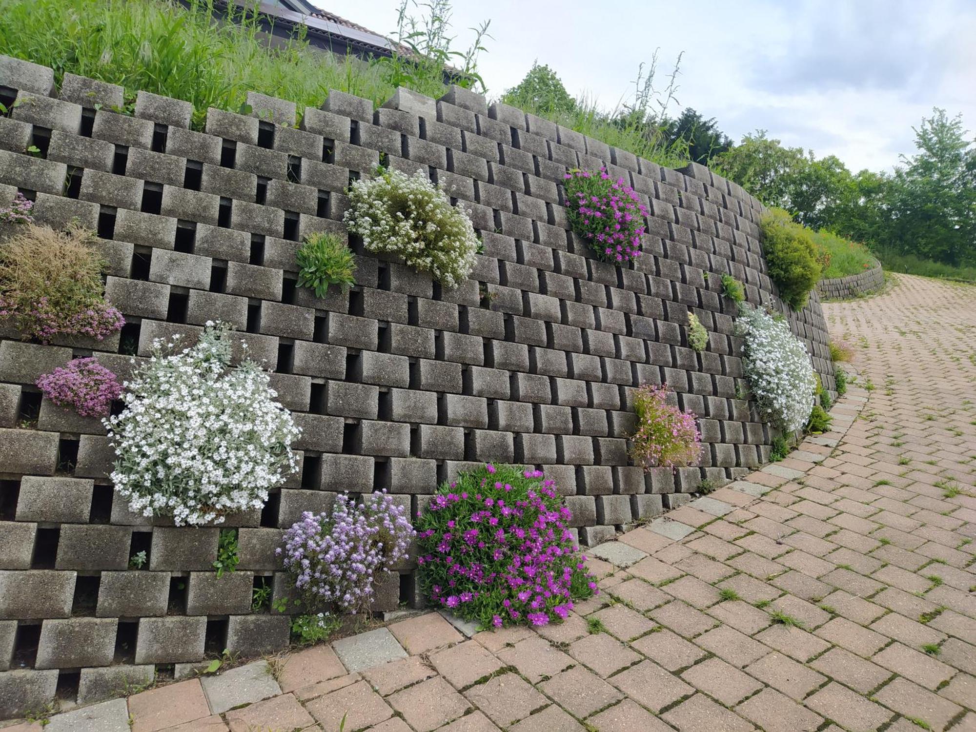Villa Fiorita 阿维里亚那 外观 照片